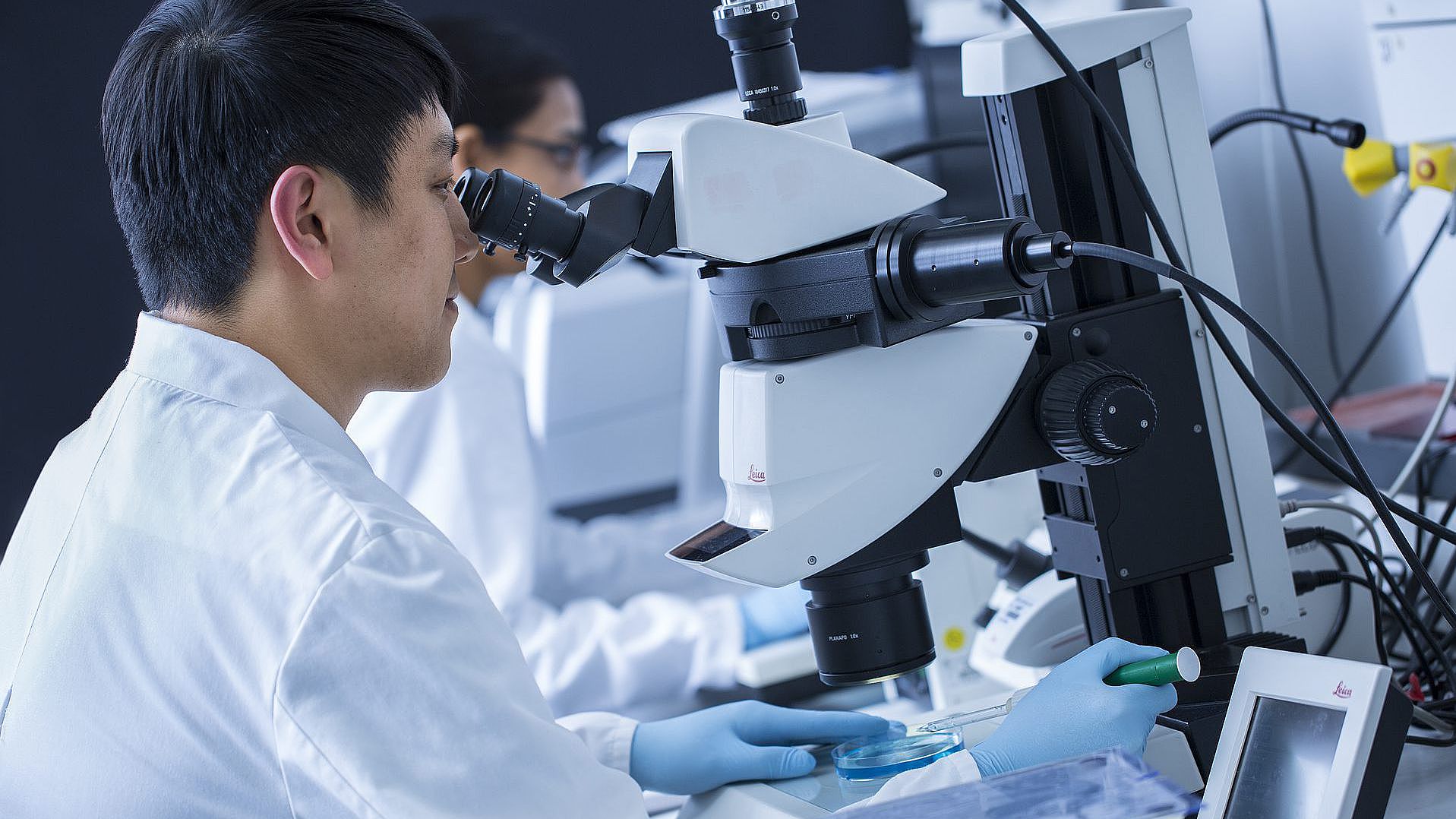 Laboratory